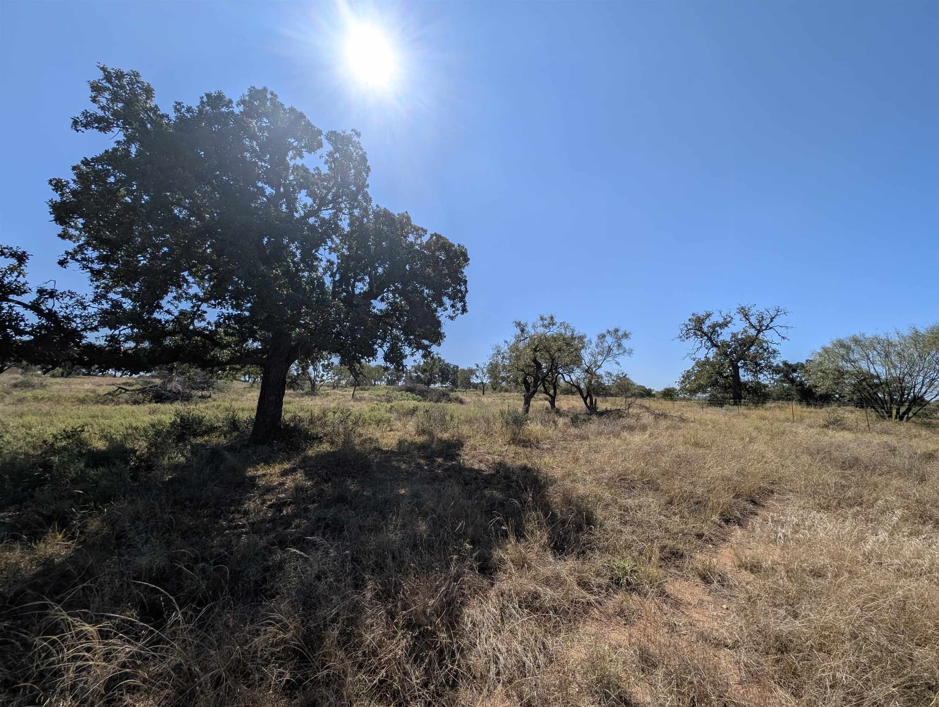 46.36 acres in Llano County - photo 8