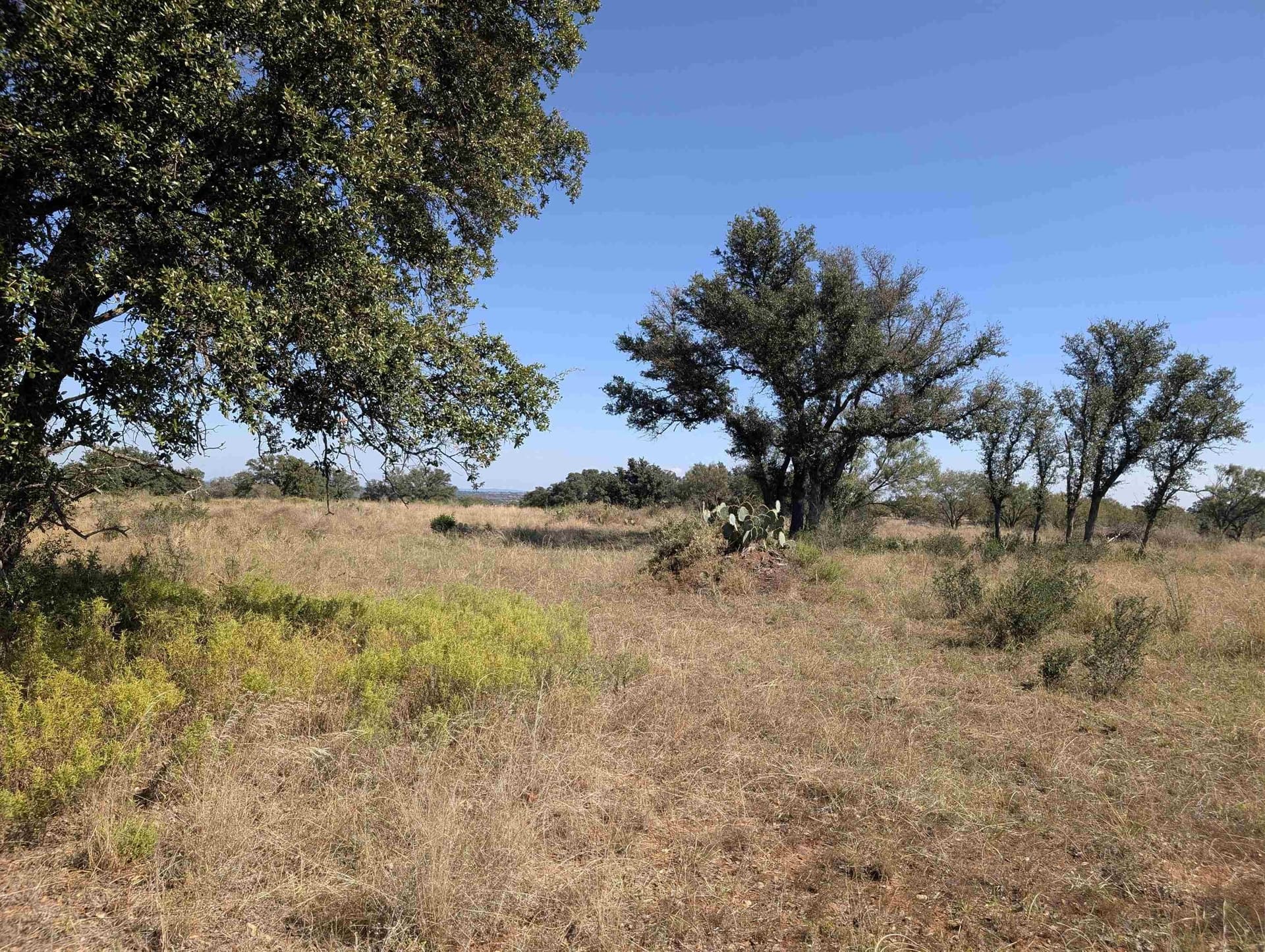 46.36 acres in Llano County - photo 12