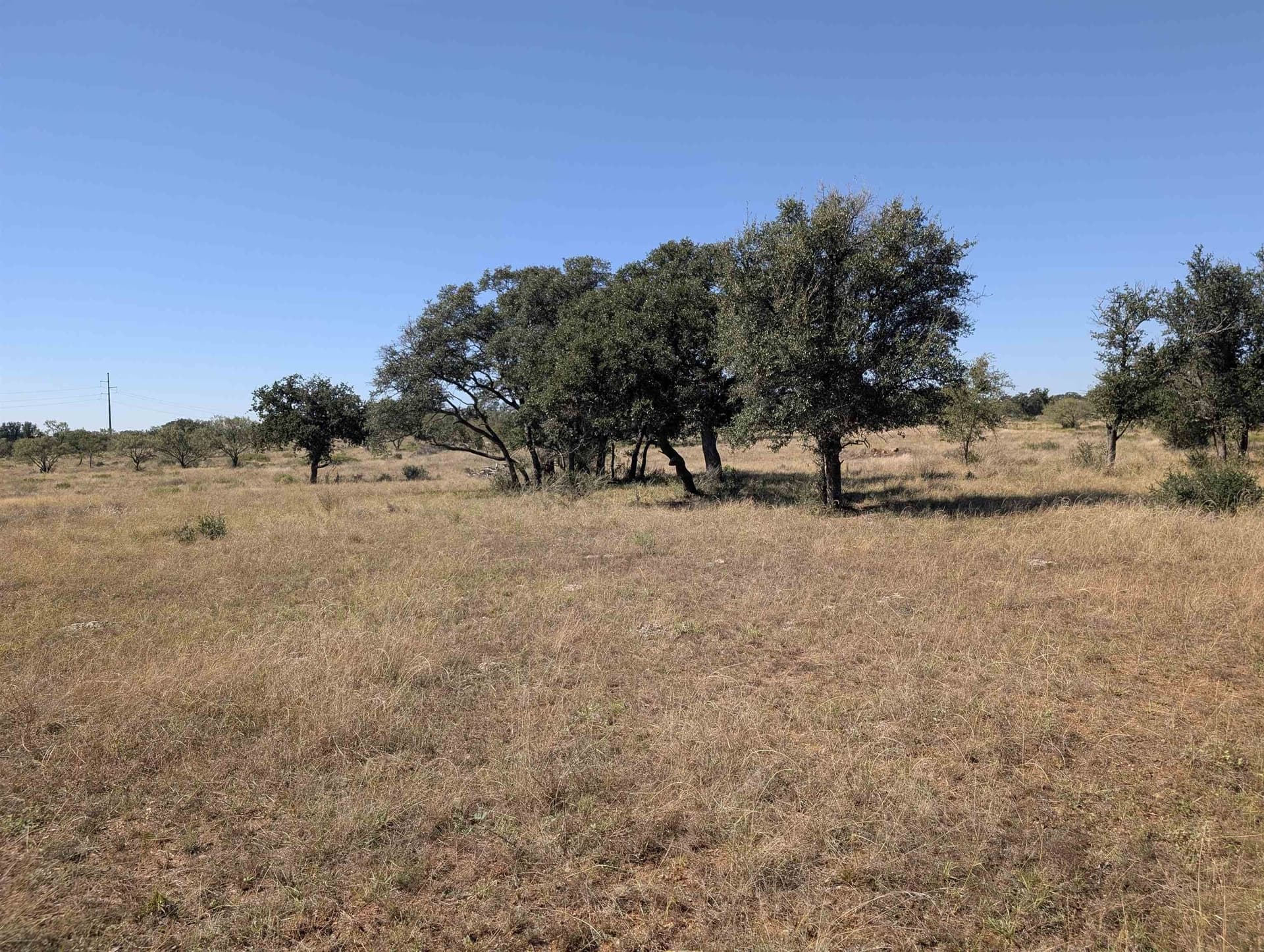 46.36 acres in Llano County - photo 2