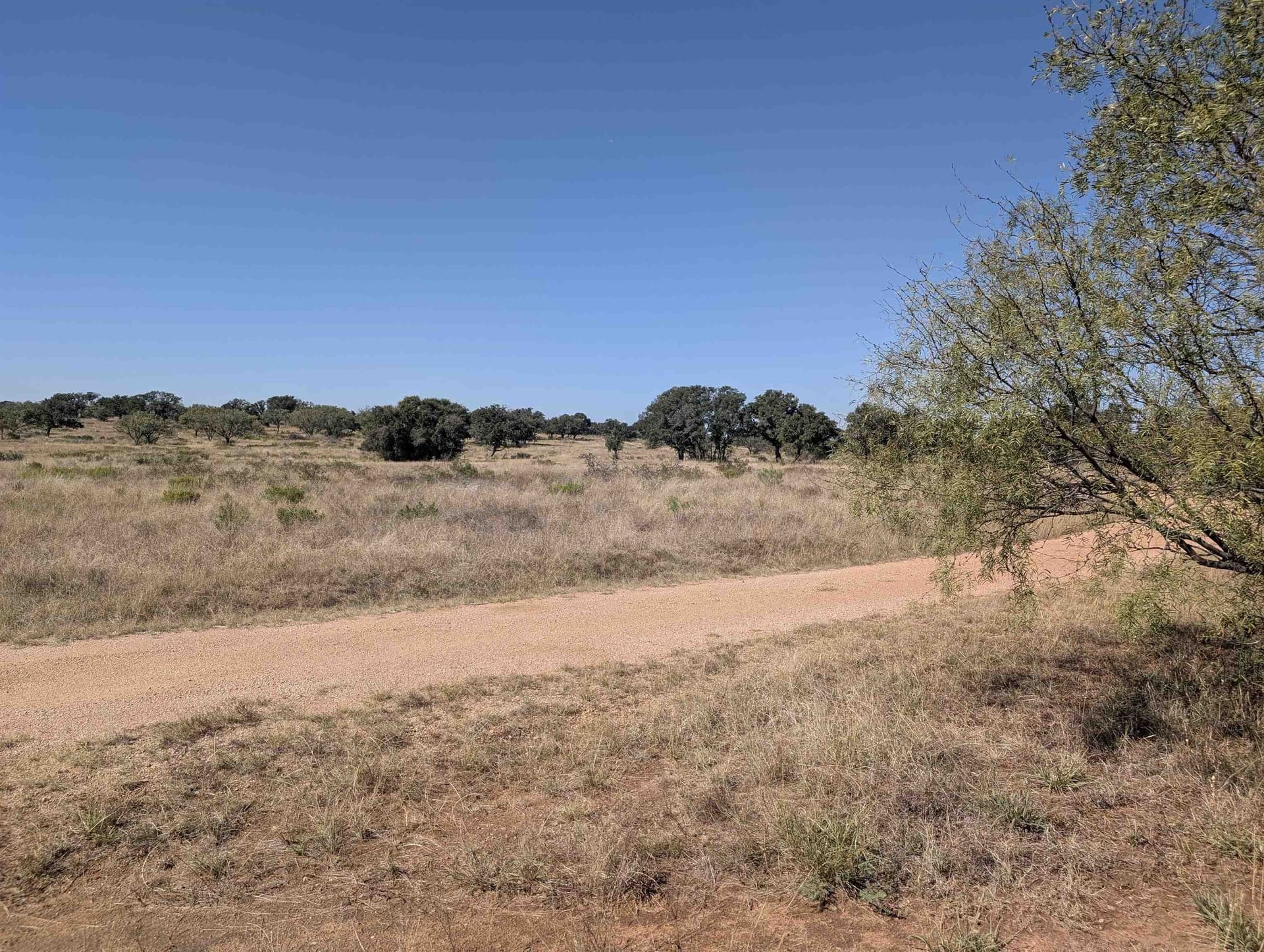 46.36 acres in Llano County - photo 4