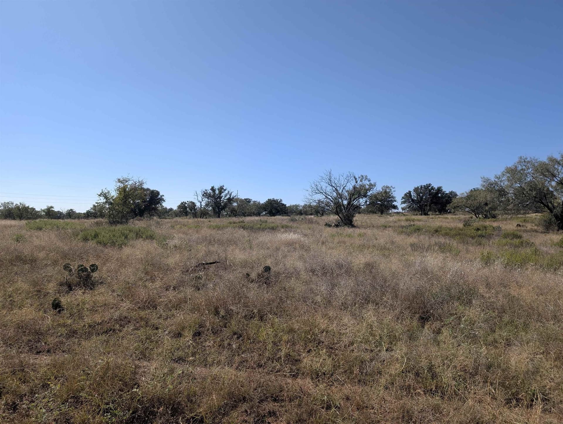 46.36 acres in Llano County - photo 6