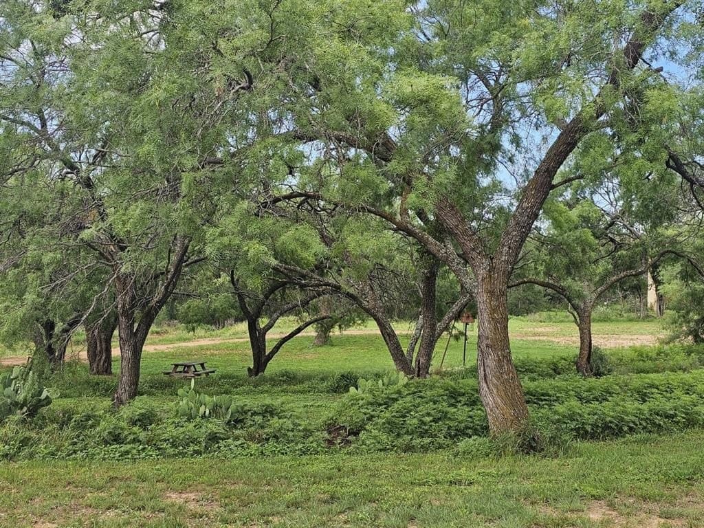 4.49 acres in Mills County gallery image 4