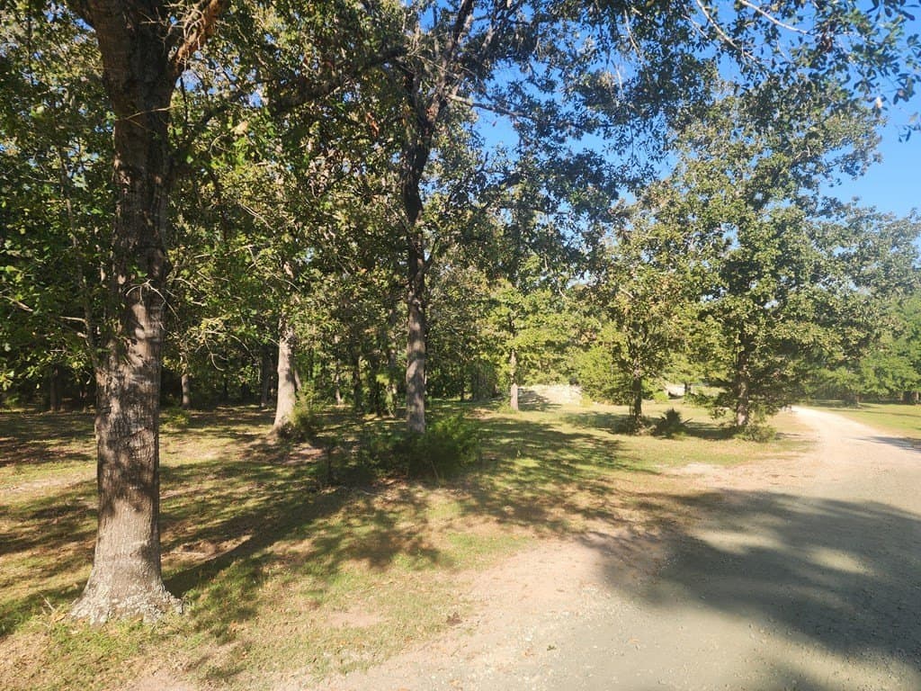 23.38 acres in Texas County gallery image 4