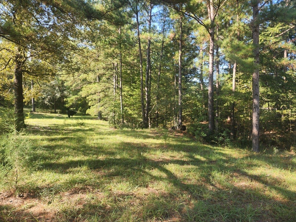 23.38 acres in Texas County featured view