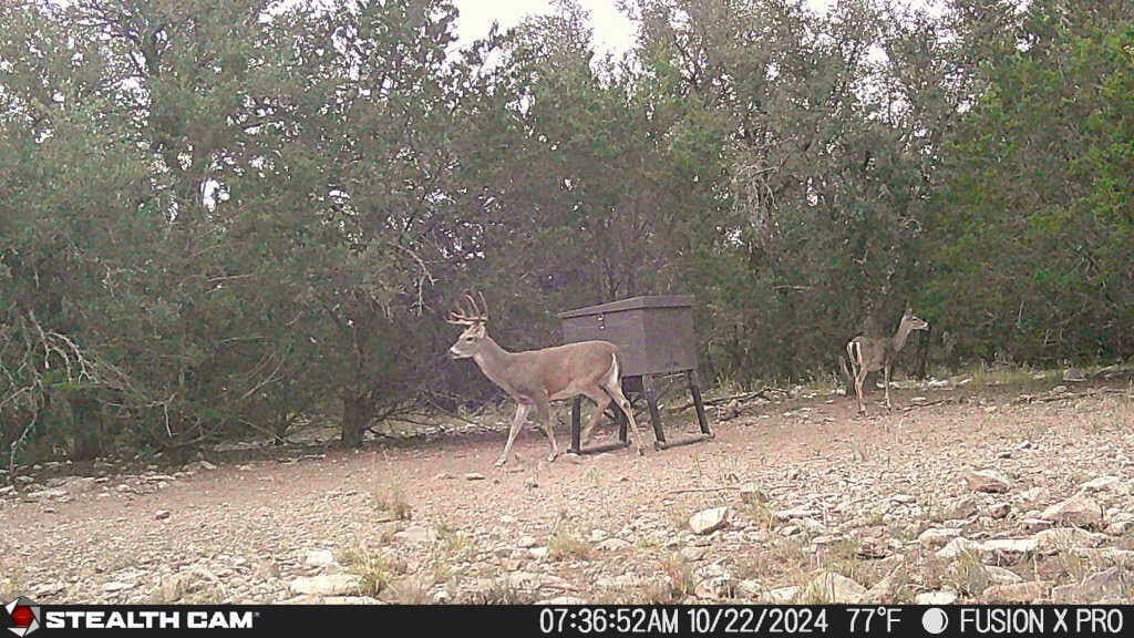 25.81 acres in Schleicher County - photo 11