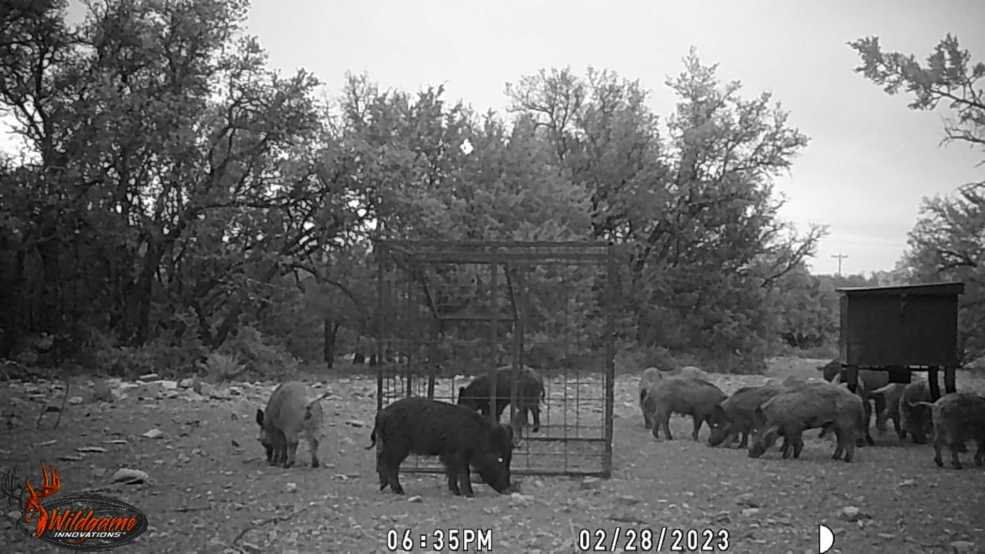 25.81 acres in Schleicher County - photo 14