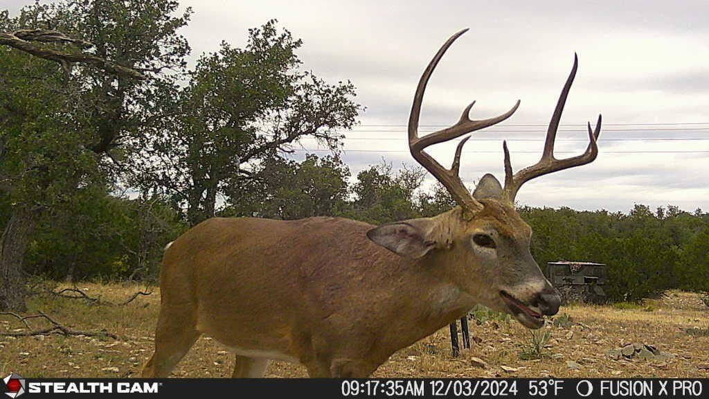 25.81 acres in Schleicher County - photo 10