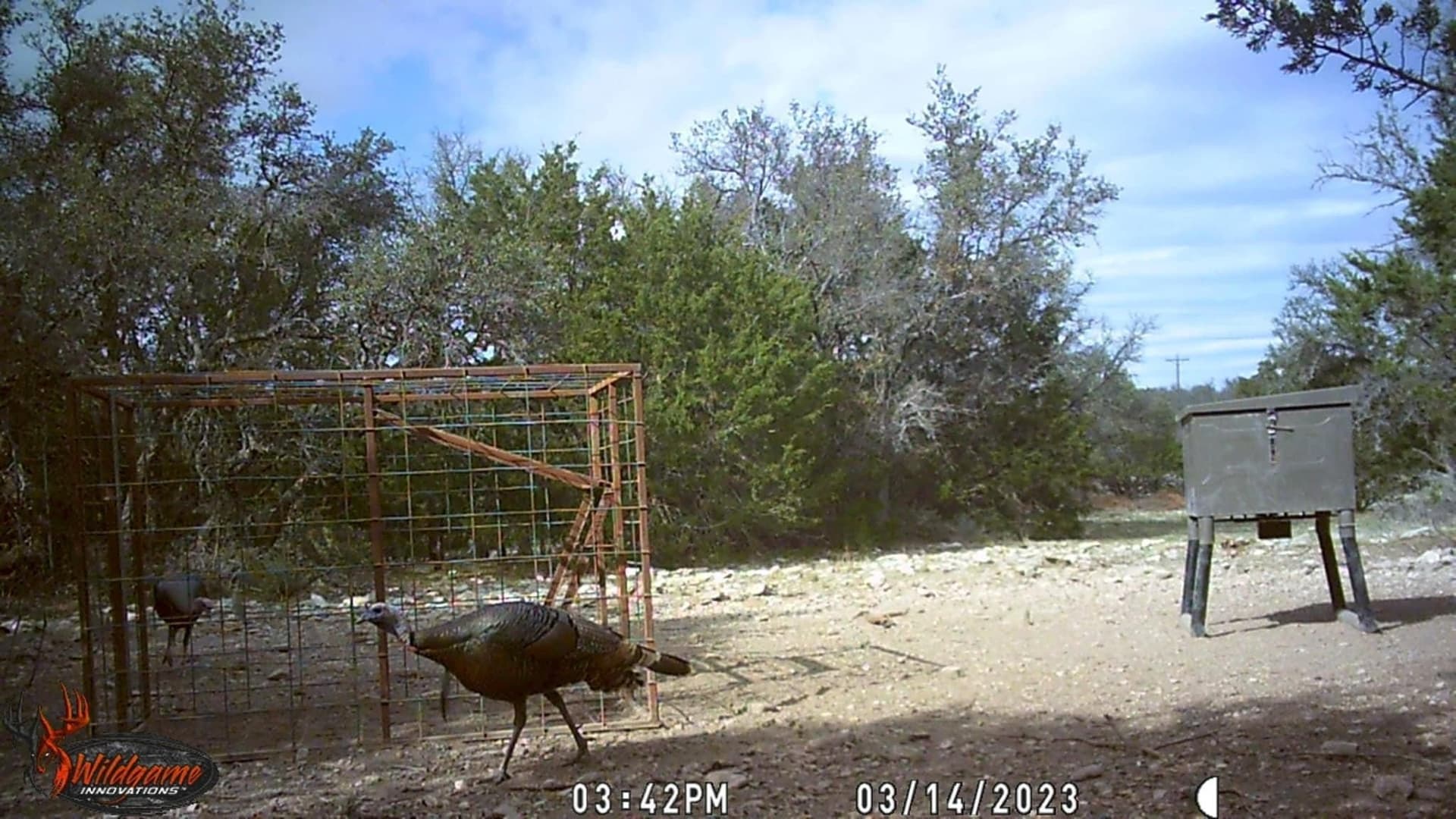 25.81 acres in Schleicher County - photo 13
