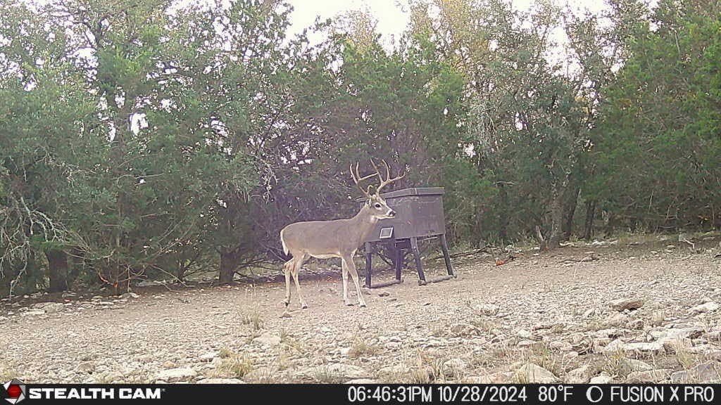 25.81 acres in Schleicher County - photo 12