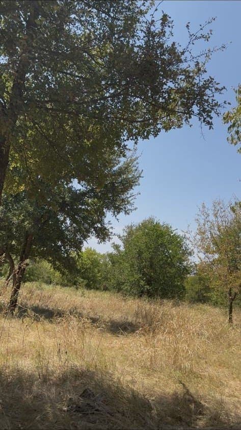 0.12 acres in Hunt County - photo 2