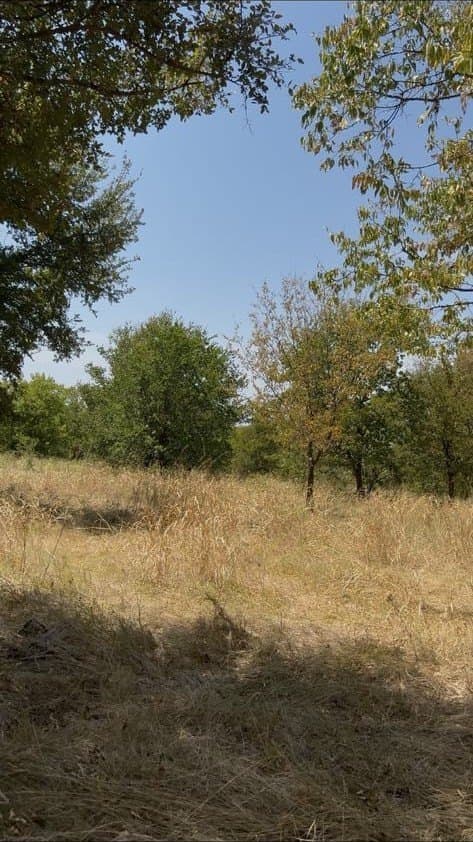0.12 acres in Hunt County
