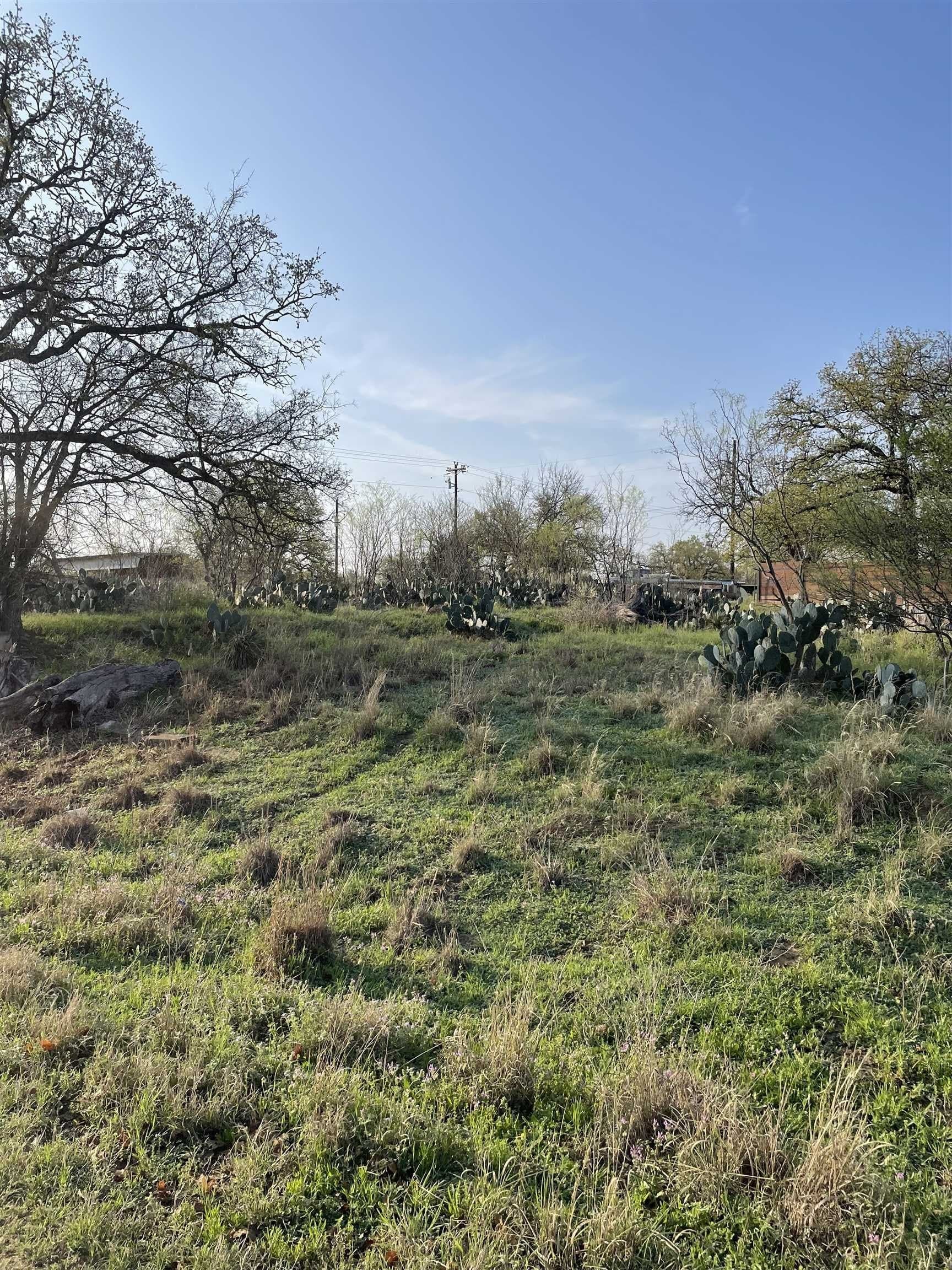 0.45 acres in Burnet County gallery image 4