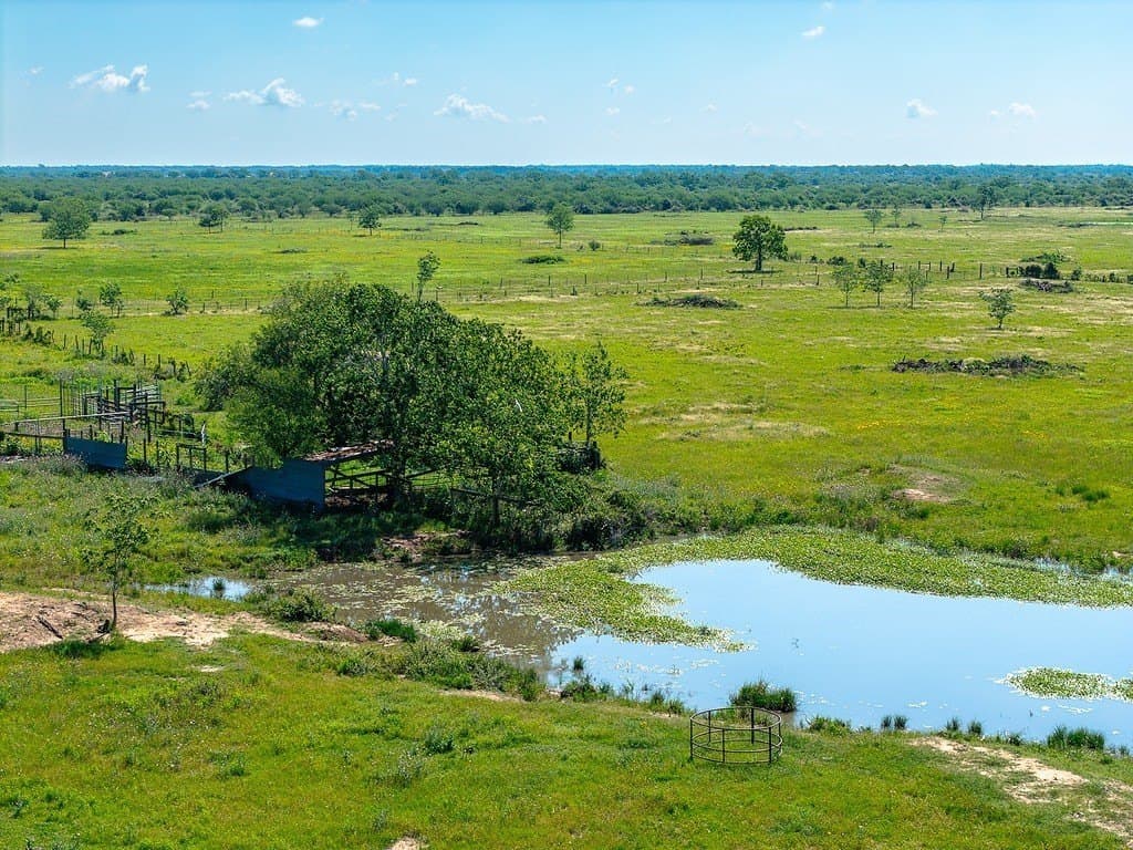 159.9 acres in Colorado County - photo 7