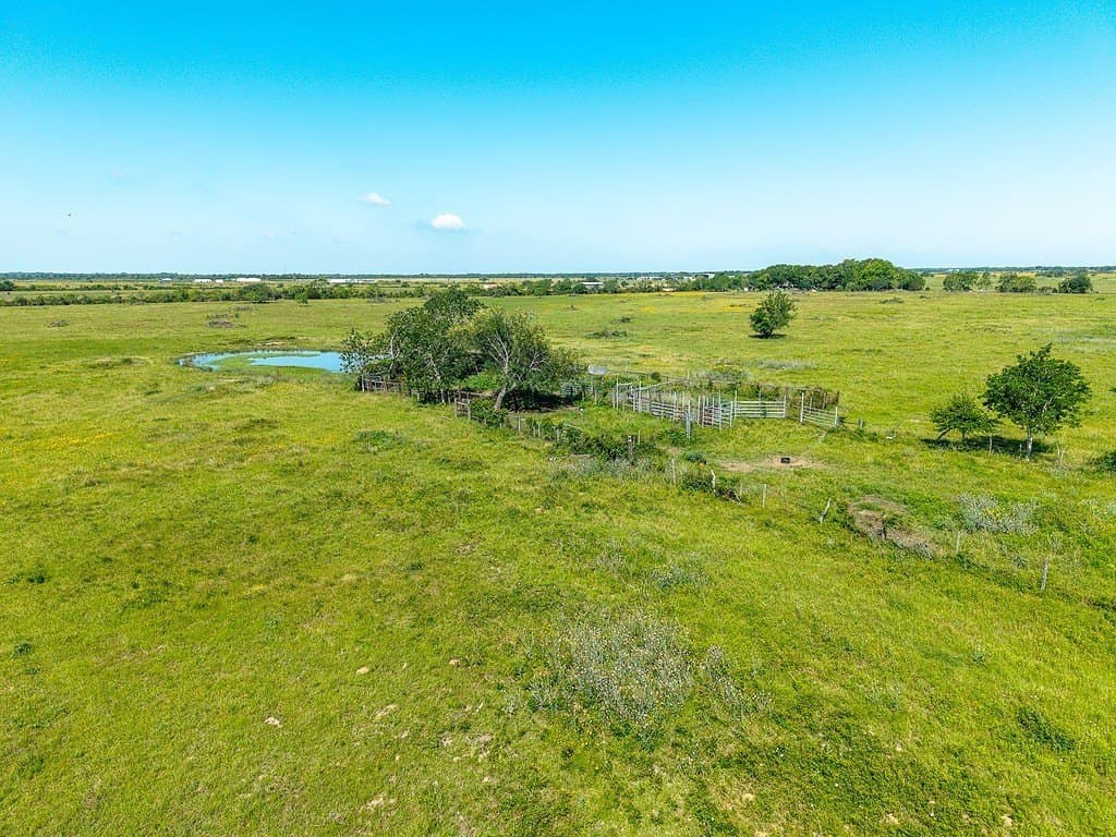 159.9 acres in Colorado County - photo 6