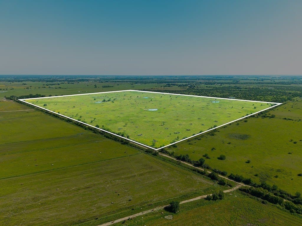 159.9 acres in Colorado County gallery image 3