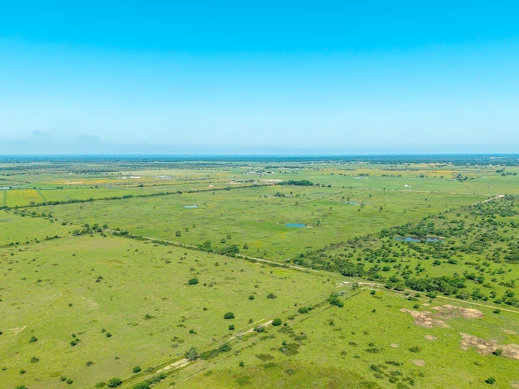 159.9 acres in Colorado County - photo 8