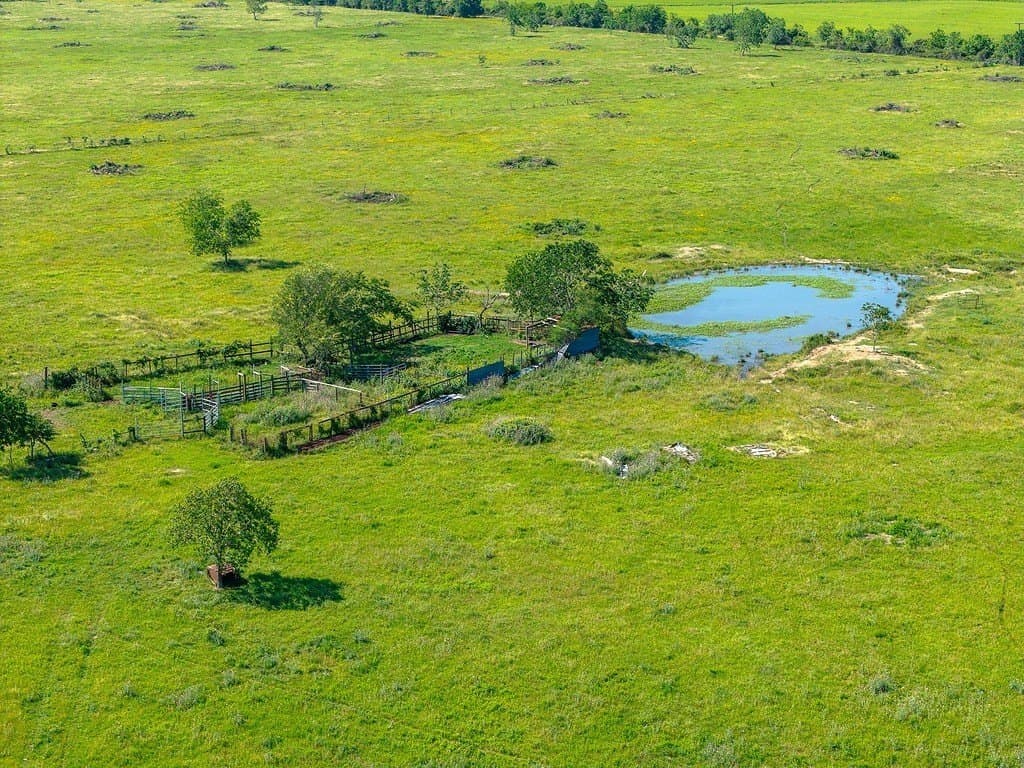 159.9 acres in Colorado County gallery image 4