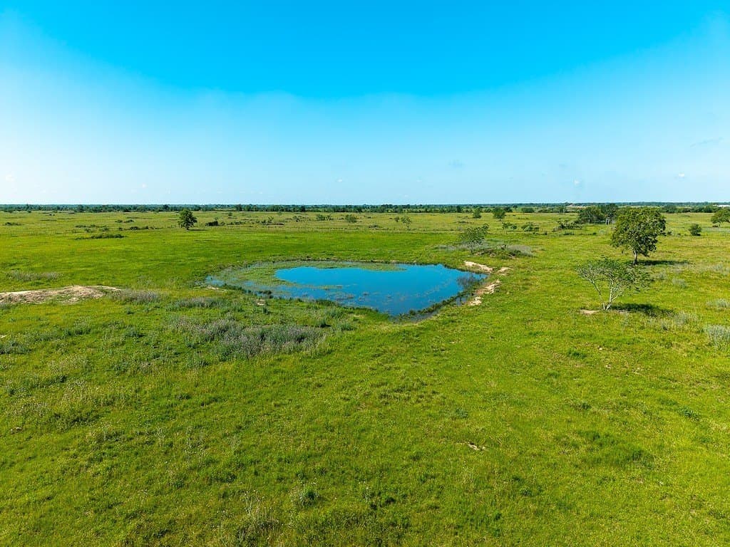 159.9 acres in Colorado County - photo 12