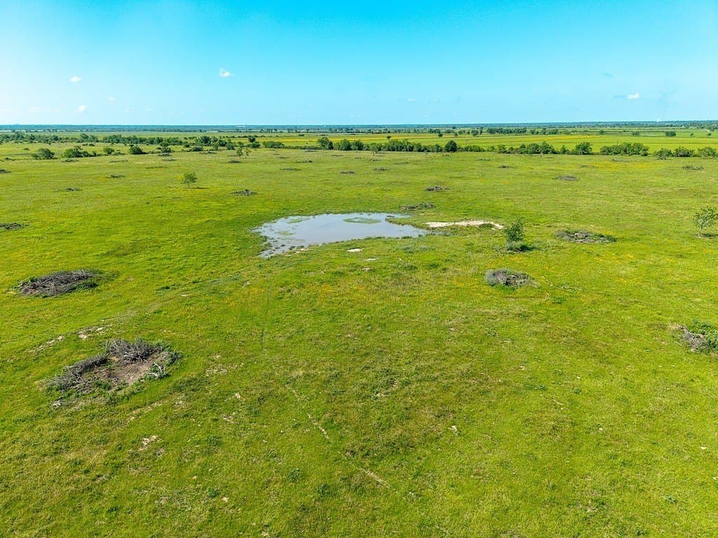159.9 acres in Colorado County - photo 9
