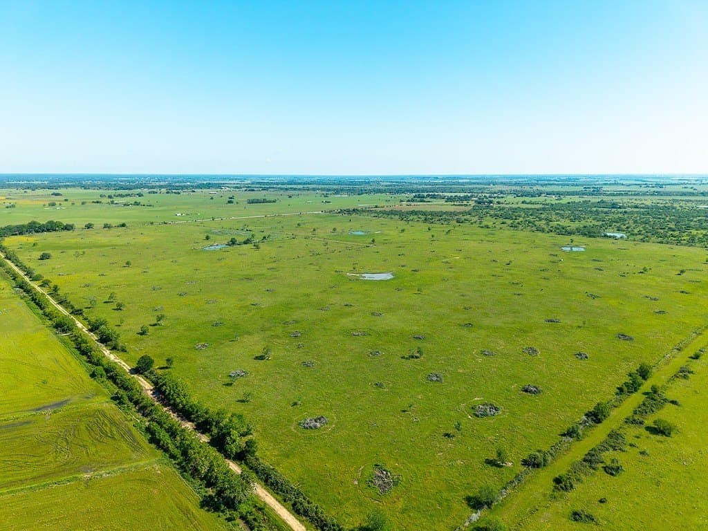 159.9 acres in Colorado County gallery image 2