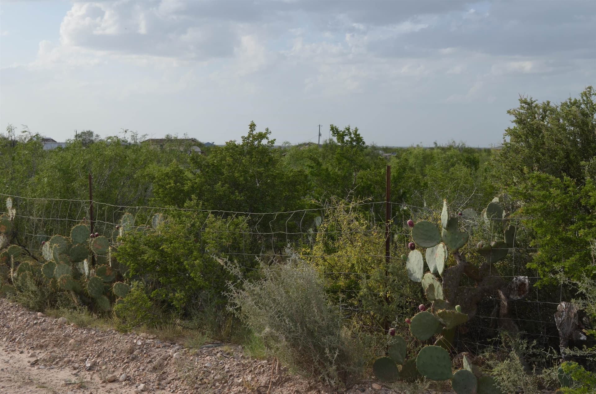 0.97 acres in USA County gallery image 2