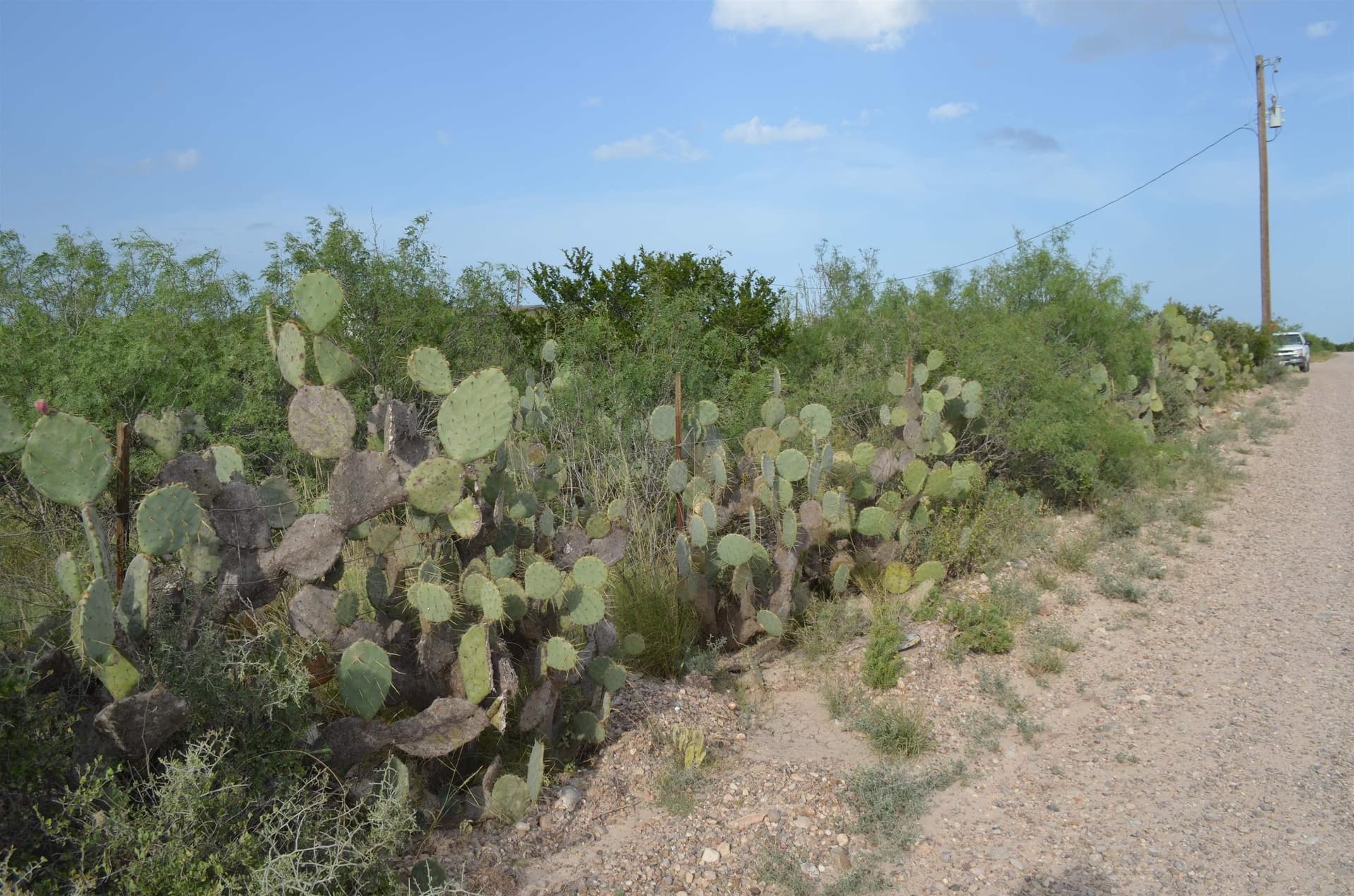 0.97 acres in USA County gallery image 4