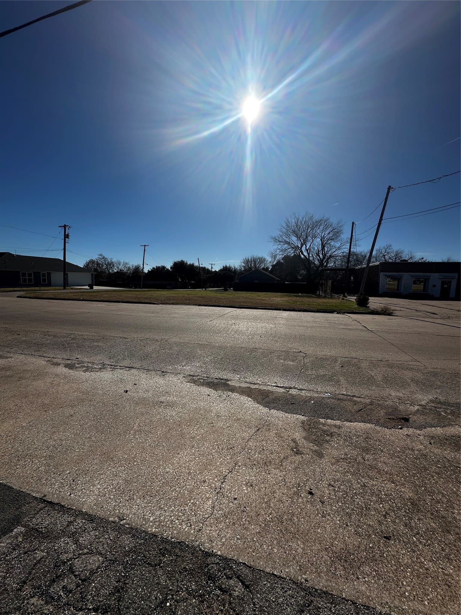 0.31 acres in Dallas County - photo 12