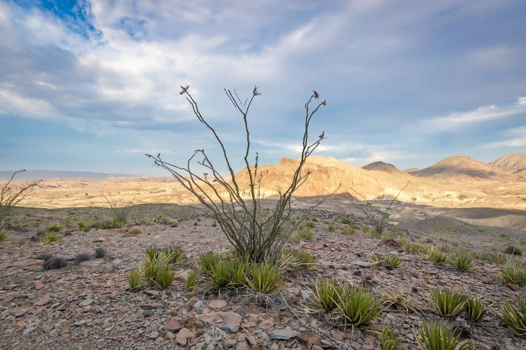 4,456.2 acres in Brewster County - photo 17