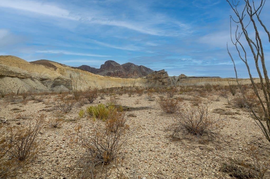 4,456.2 acres in Brewster County gallery image 3