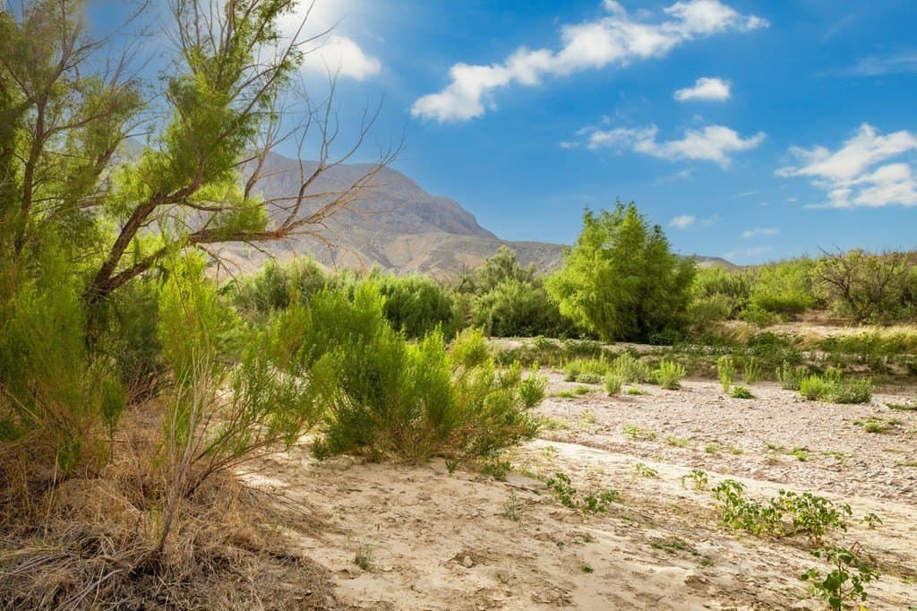 4,456.2 acres in Brewster County - photo 13