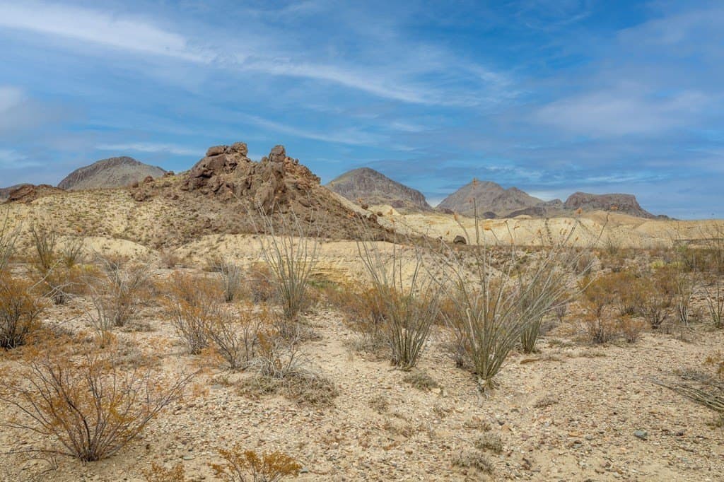4,456.2 acres in Brewster County featured view