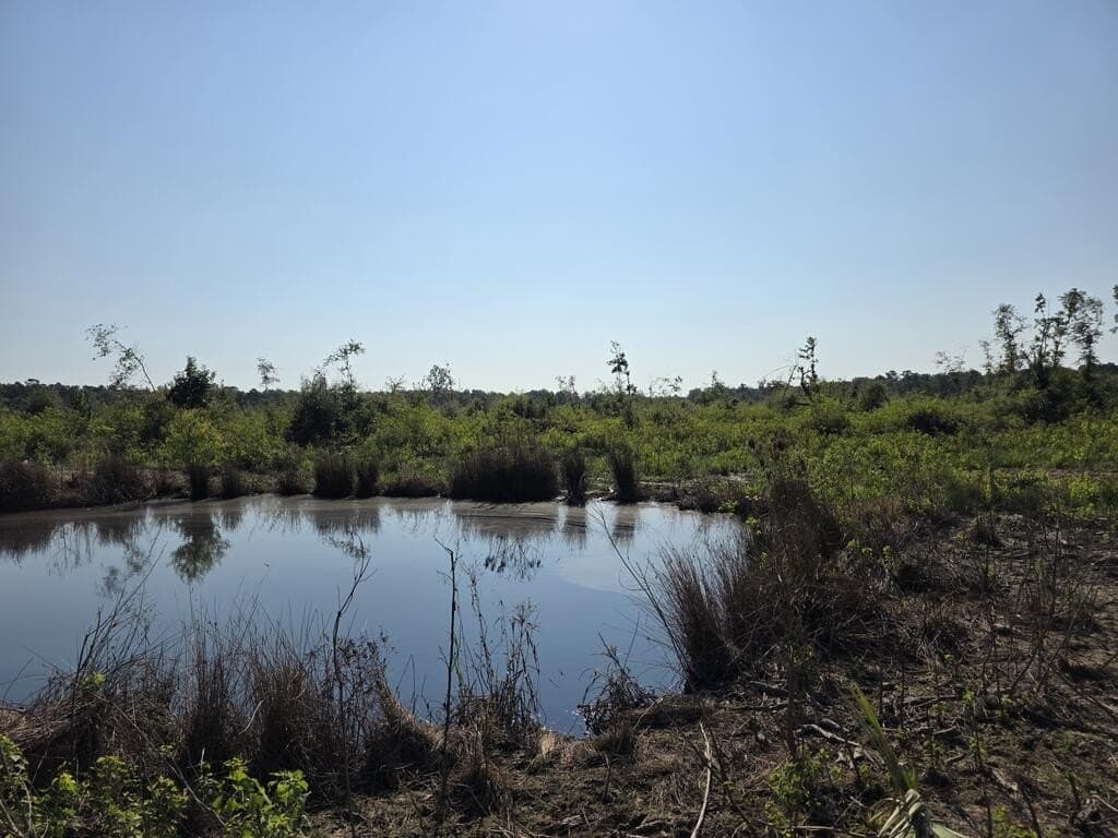31.1 acres in Texas County - photo 18
