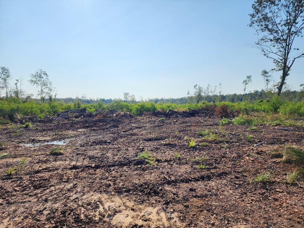 31.1 acres in Texas County - photo 19