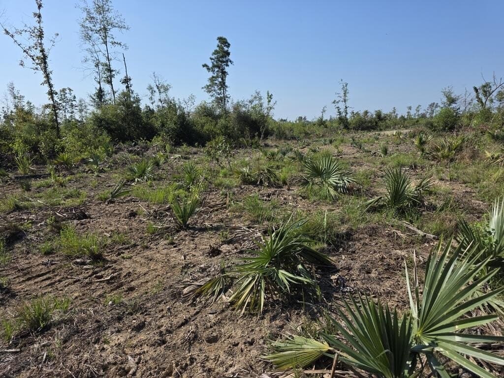 31.1 acres in Texas County - photo 34