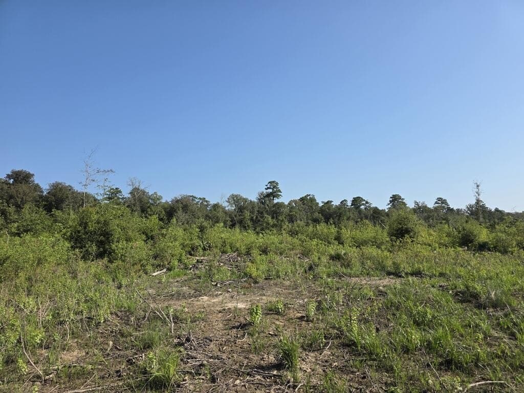 31.1 acres in Texas County - photo 20