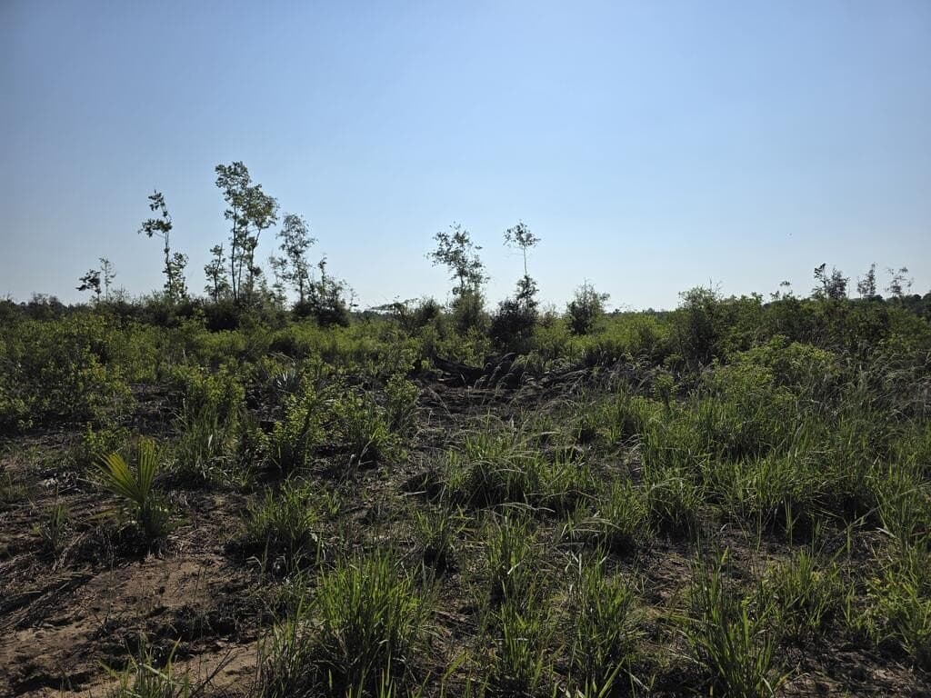 31.1 acres in Texas County - photo 12
