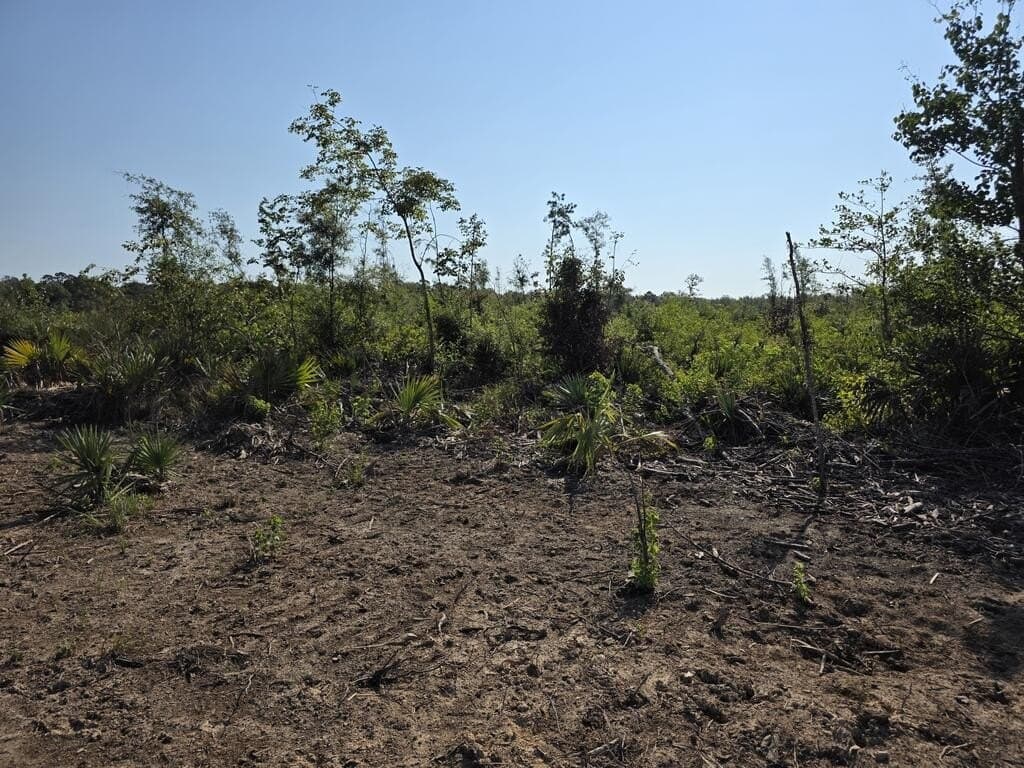 31.1 acres in Texas County - photo 28