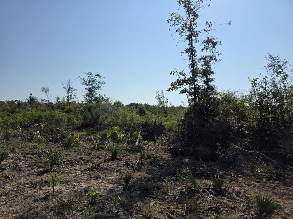 31.1 acres in Texas County - photo 29