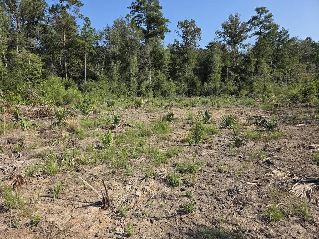 31.1 acres in Texas County - photo 32