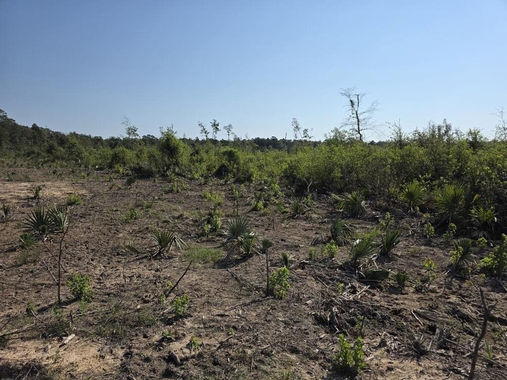 31.1 acres in Texas County - photo 25