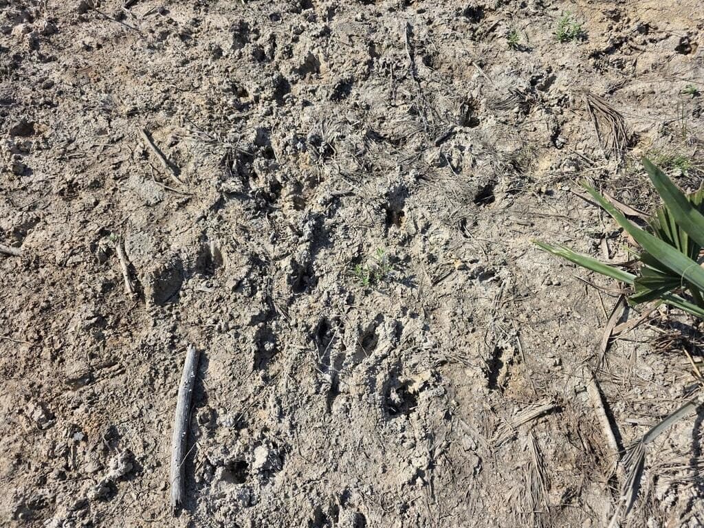 31.1 acres in Texas County - photo 35