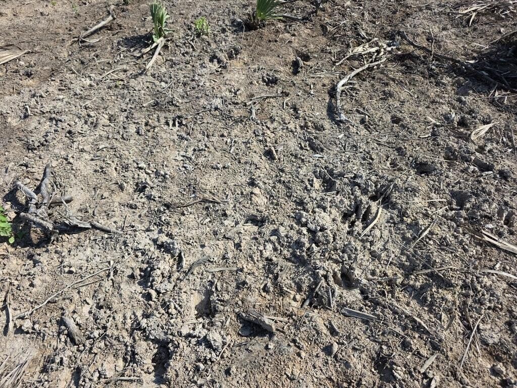 31.1 acres in Texas County - photo 27
