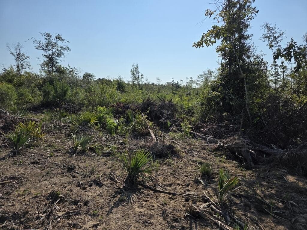31.1 acres in Texas County - photo 30