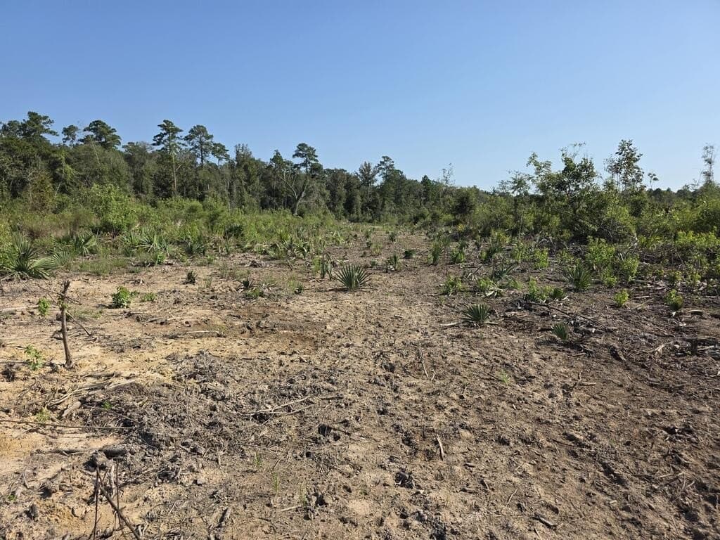 31.1 acres in Texas County - photo 26