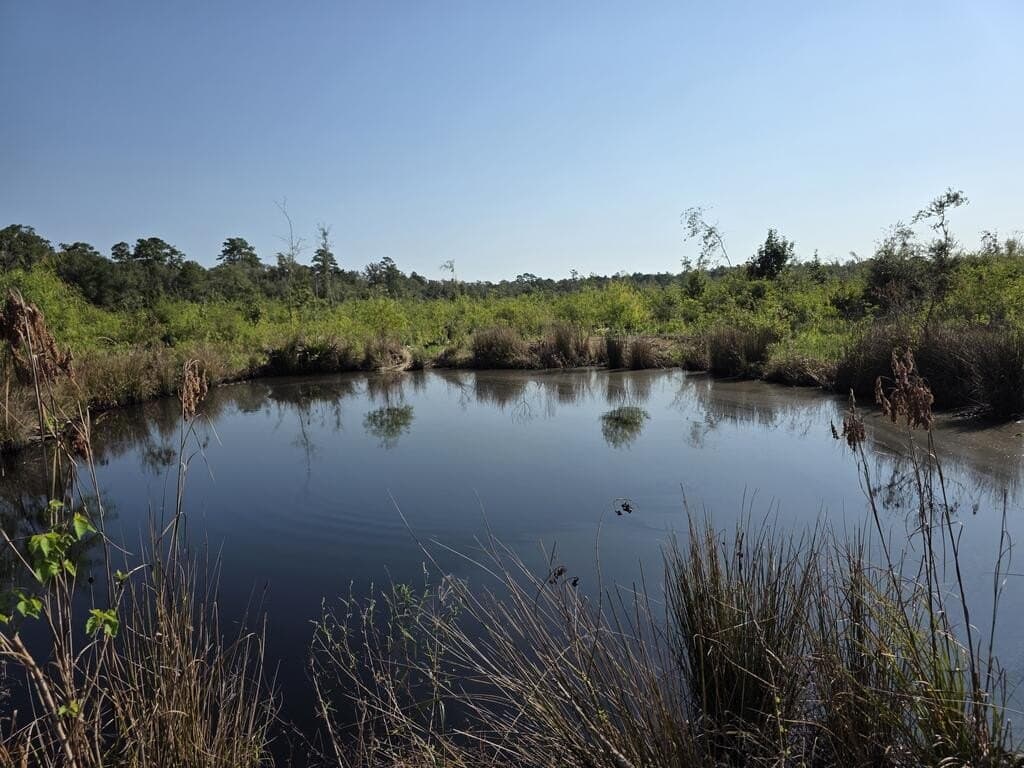 31.1 acres in Texas County