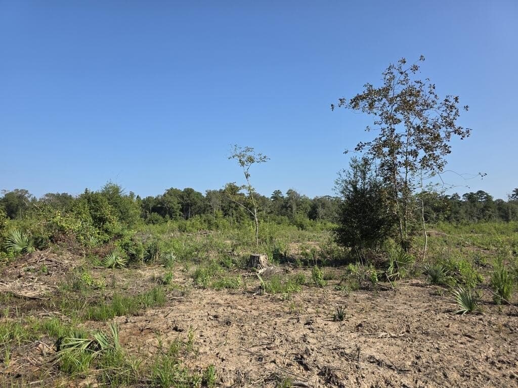 31.1 acres in Texas County - photo 16