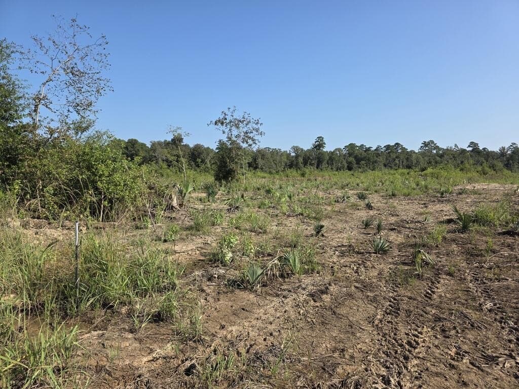 31.1 acres in Texas County - photo 13