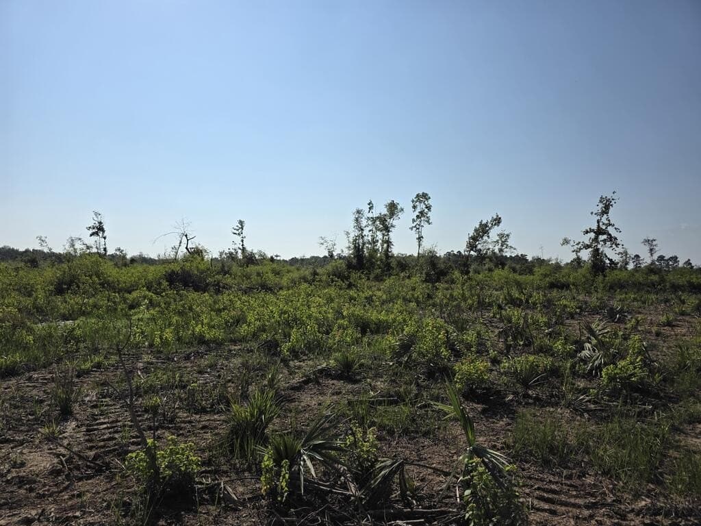 31.1 acres in Texas County - photo 21