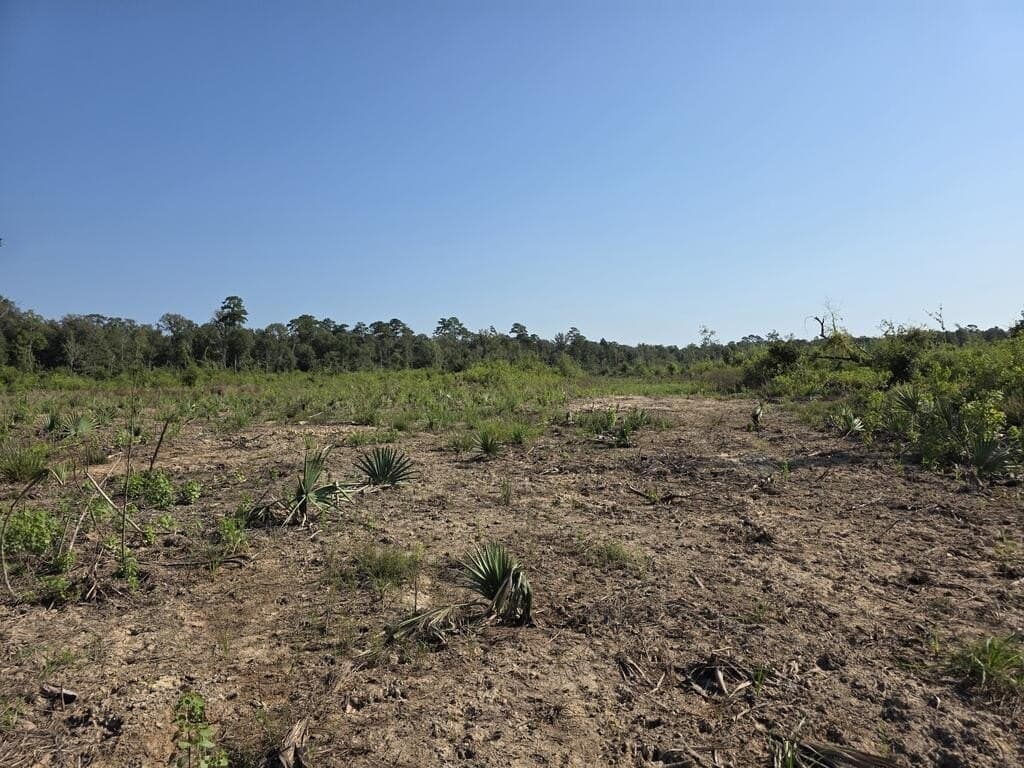 31.1 acres in Texas County - photo 14