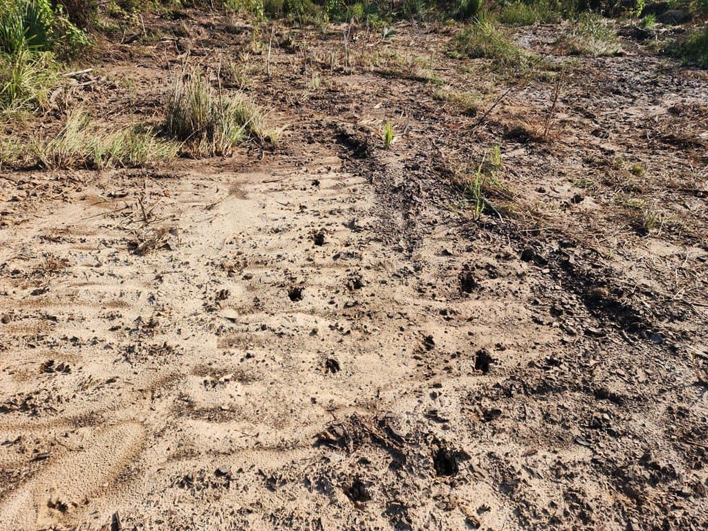 31.1 acres in Texas County - photo 7